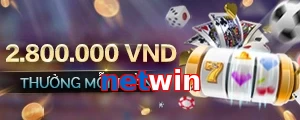 netwin