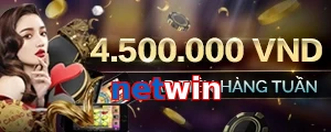 netwin