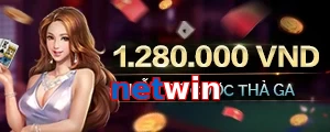 netwin