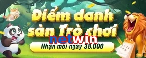 netwin