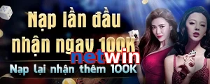 netwin