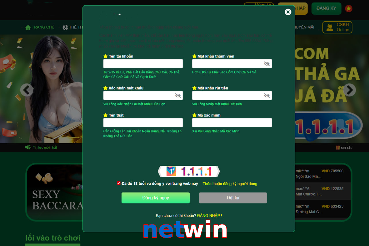 netwin